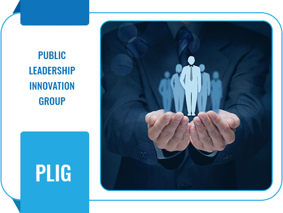 Public Leadership Innovation Group (PLIG)