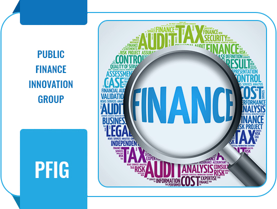 Public Finance Innovation Group (PFIG)